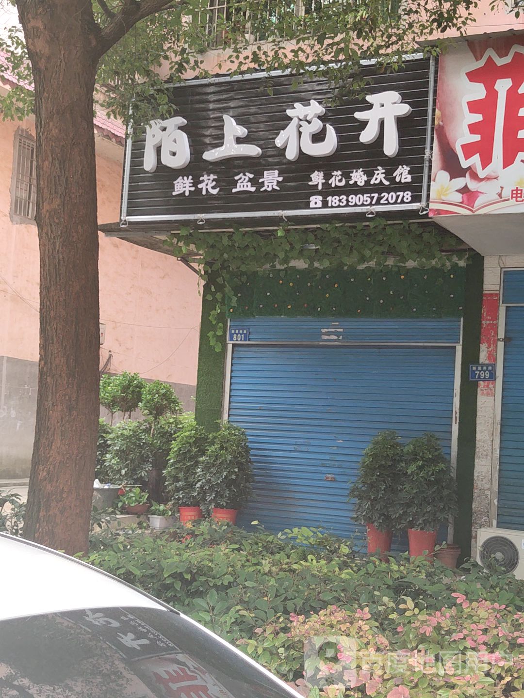 陌上花开鲜花婚庆馆(金谷店)