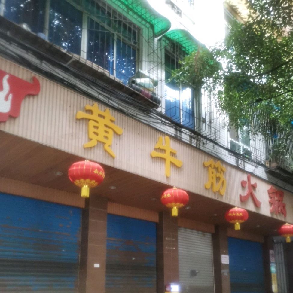 黄牛肉筋锅(金鱼井店)