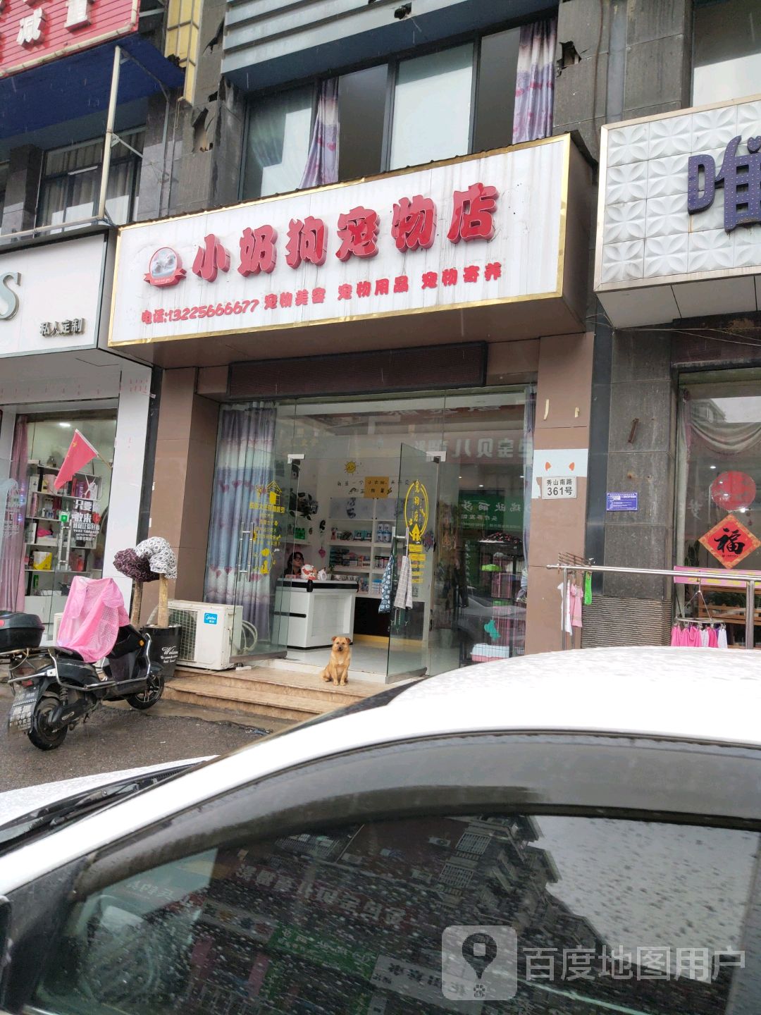 小奶狗宠物店