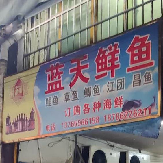 蓝天鲜鱼