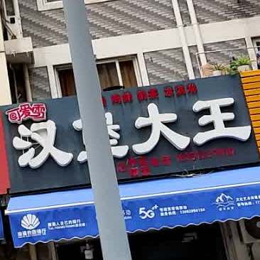 可爱雪汉宝大王(新华路店)