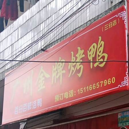 广州金牌考鸭