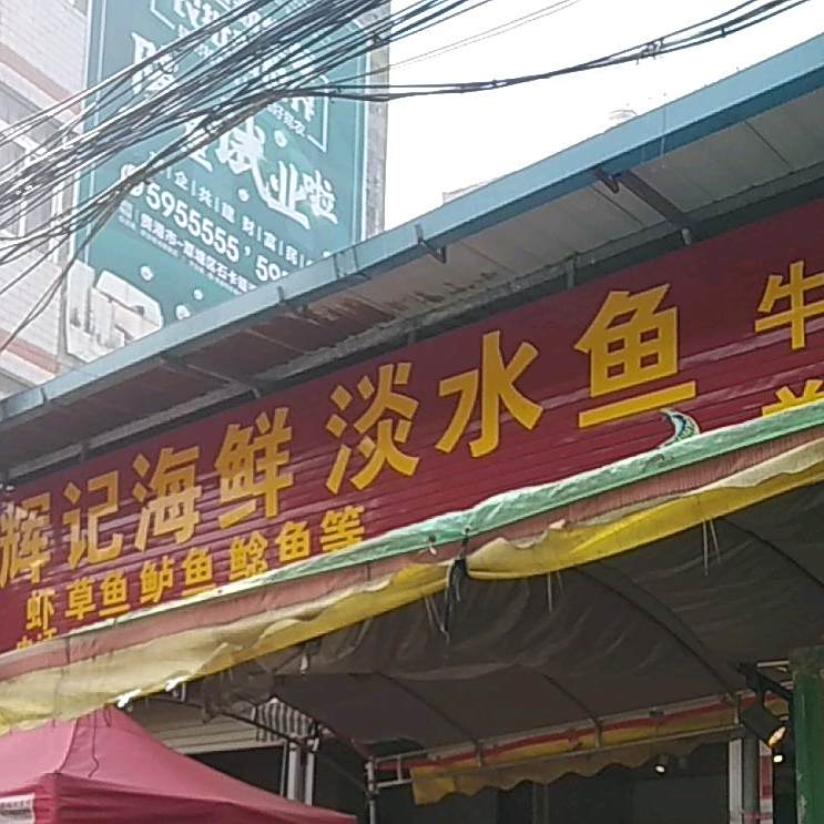 辉记海先