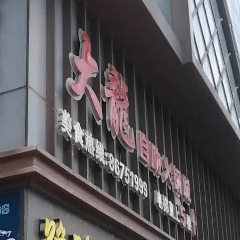大龙自助火锅城(市西路店)