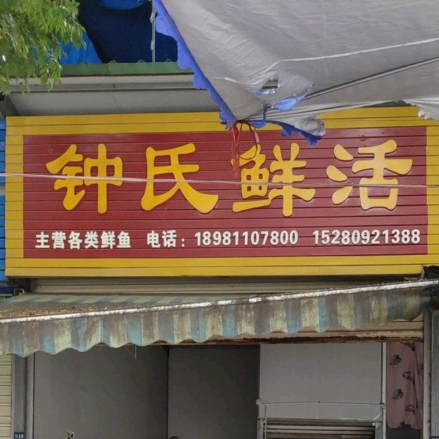 钟氏鲜活