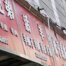 活羊羊李子羊排