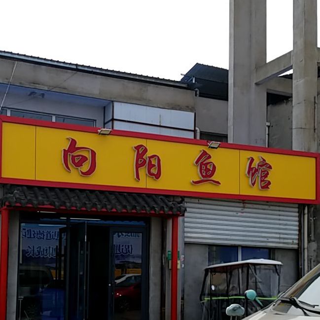 向阳鱼馆