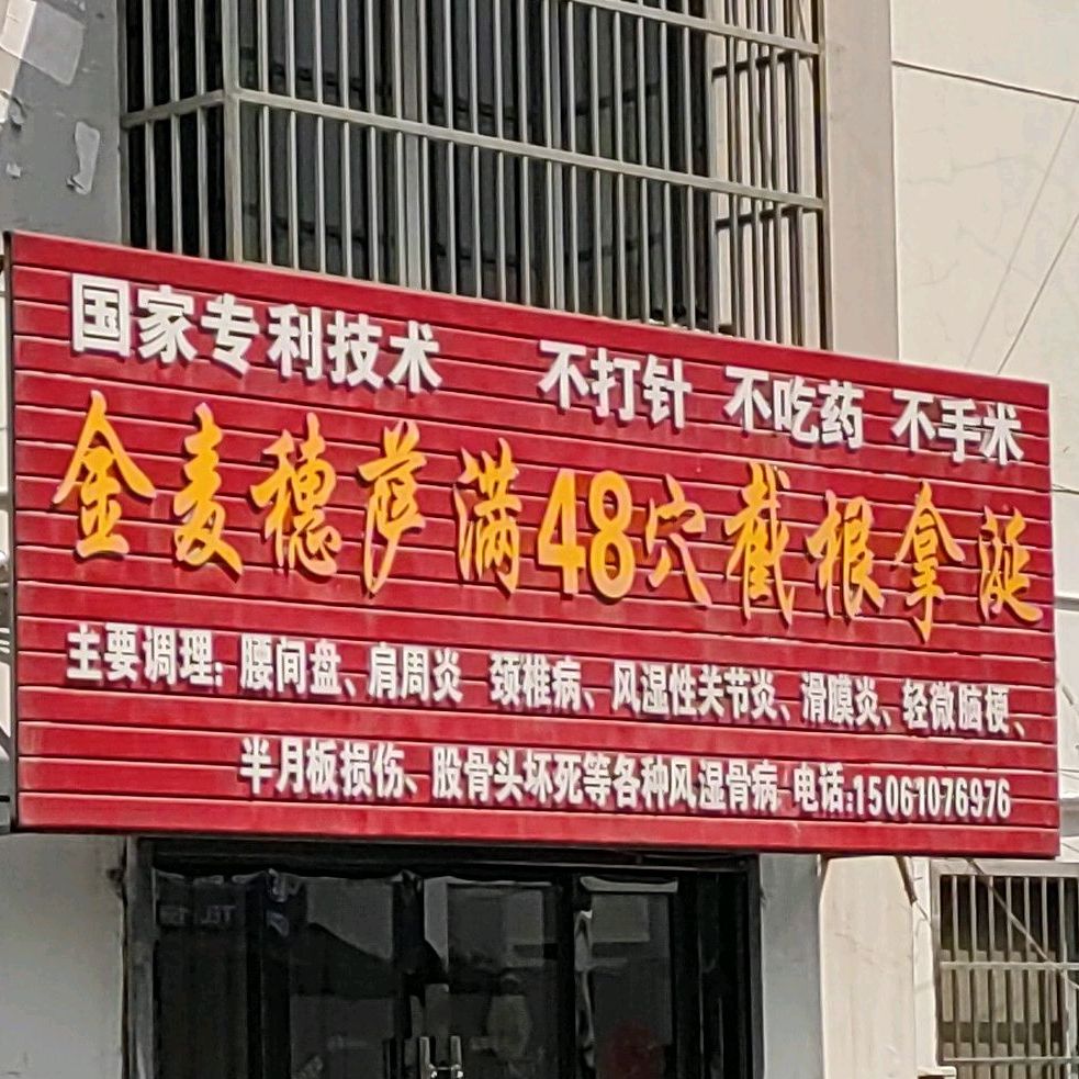 金麦汇萨满48穴截根拿涎