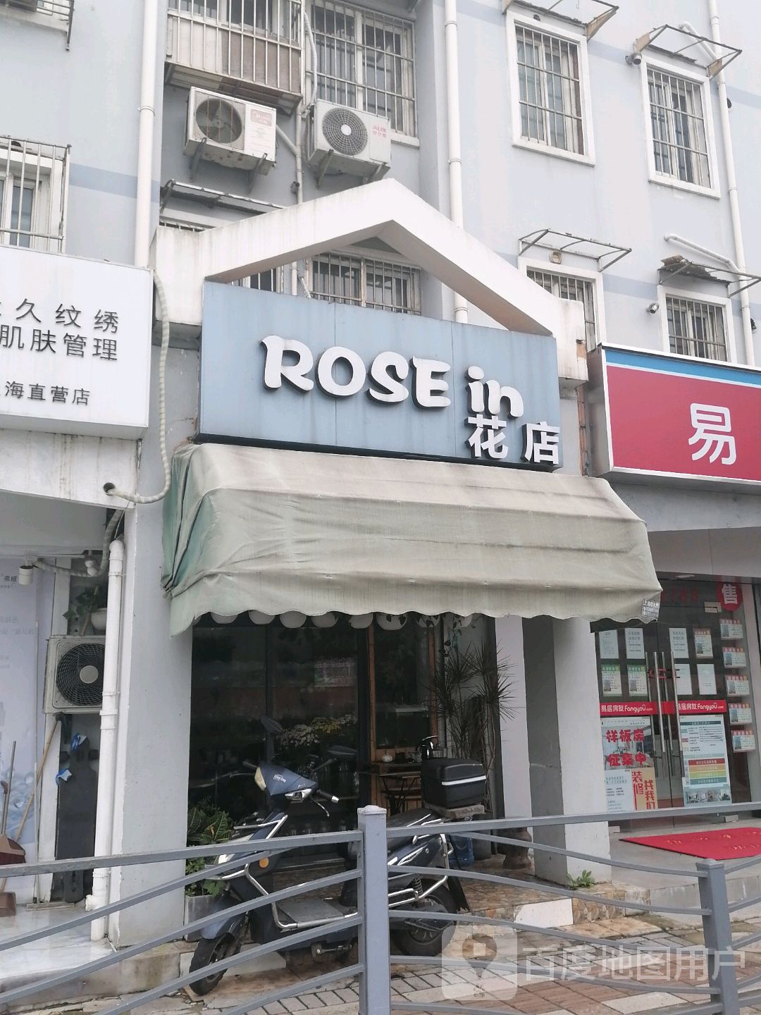 Rose in花店