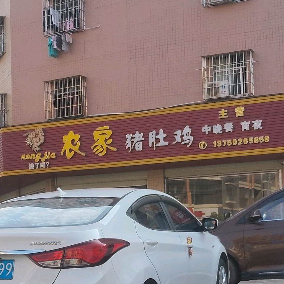农家猪肚鸡(易购生活商场店)