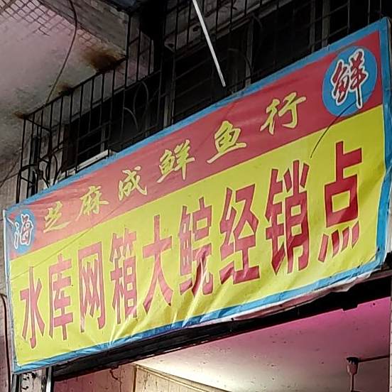 芝麻成鲜鱼行
