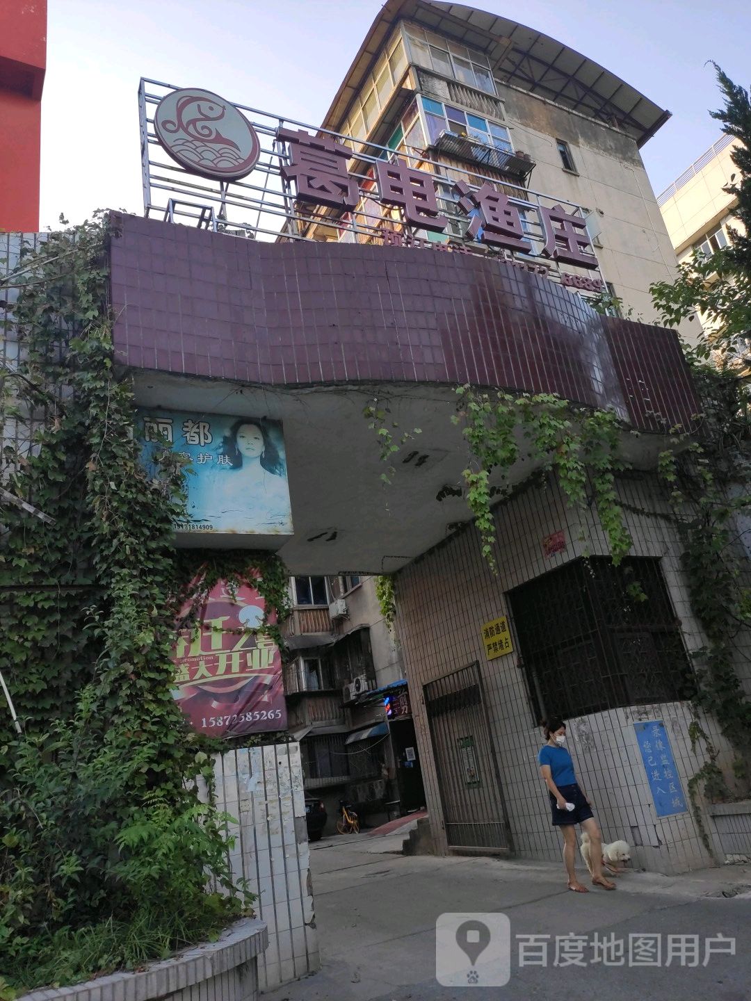 葛电鱼庄