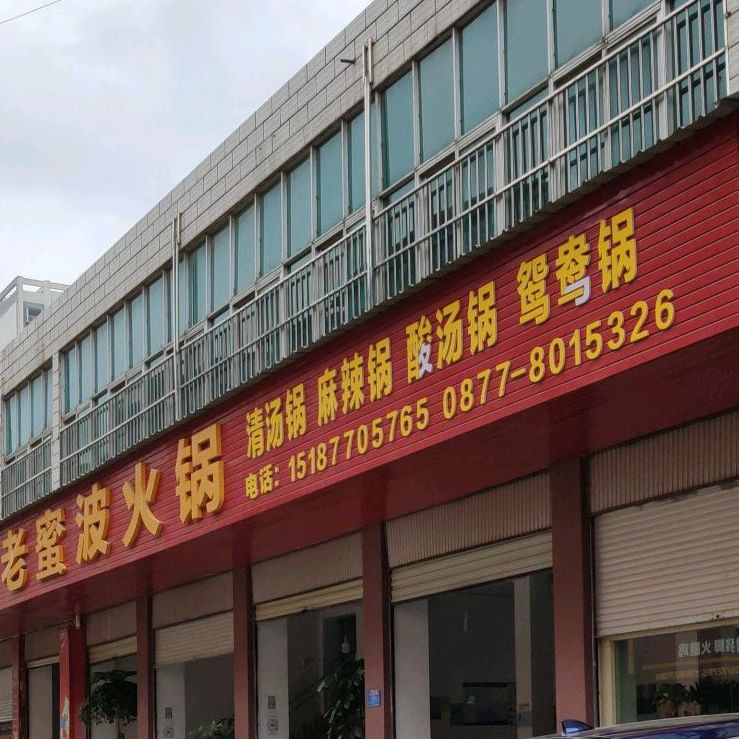 老蜜波活过
