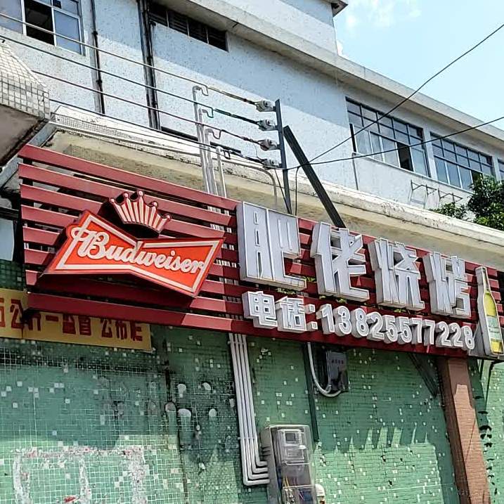 肥佬烧烤(环安路店)