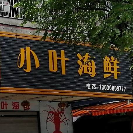 小叶海先