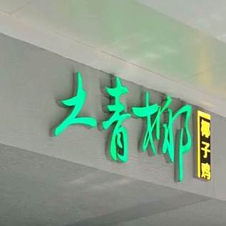 大青椰-椰子鸡(电白万达广场店)