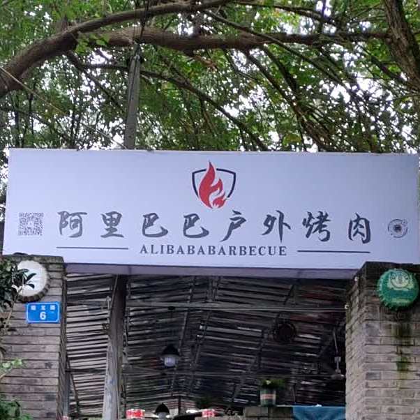 阿里巴巴户外烤肉(蟠龙路店)