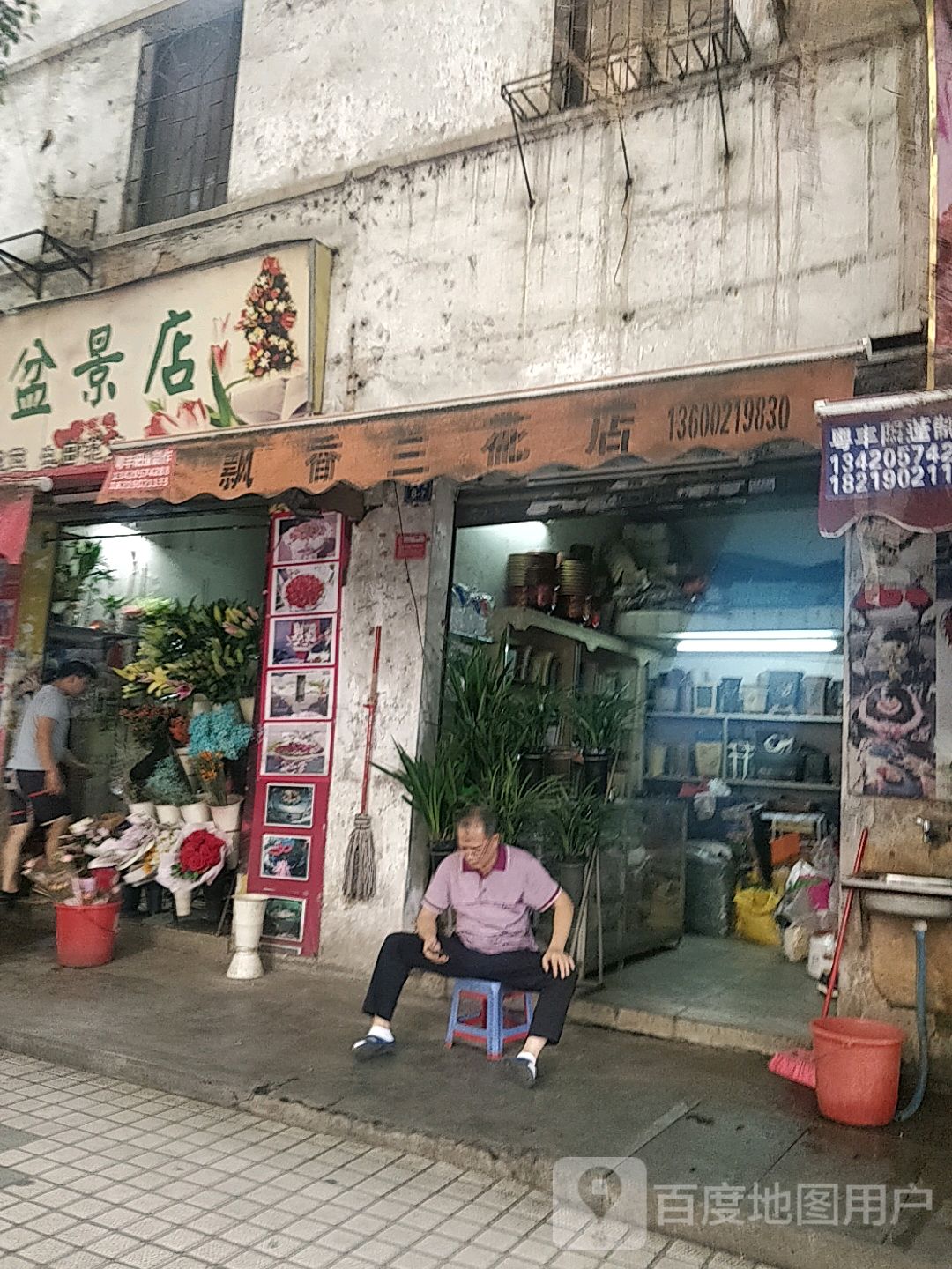 飘香兰花店