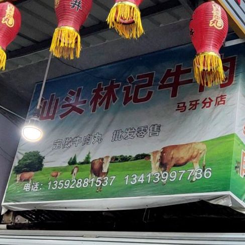 汕头李家牛肉