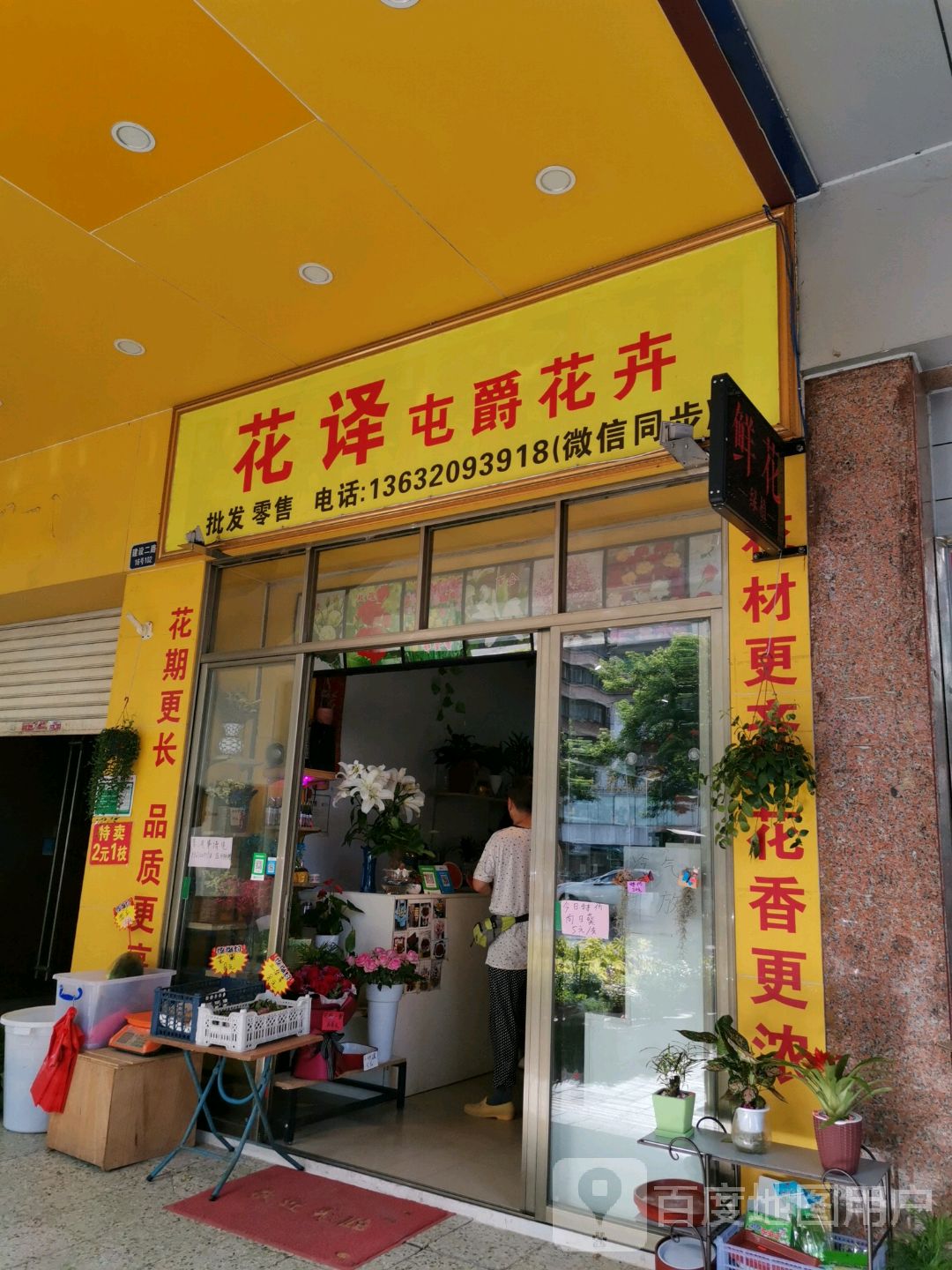 花译屯爵花卉