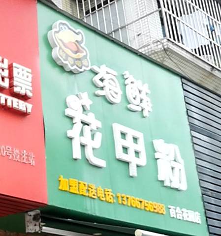 鲜甲嘟嘟海鲜花甲粉(百合花园店)