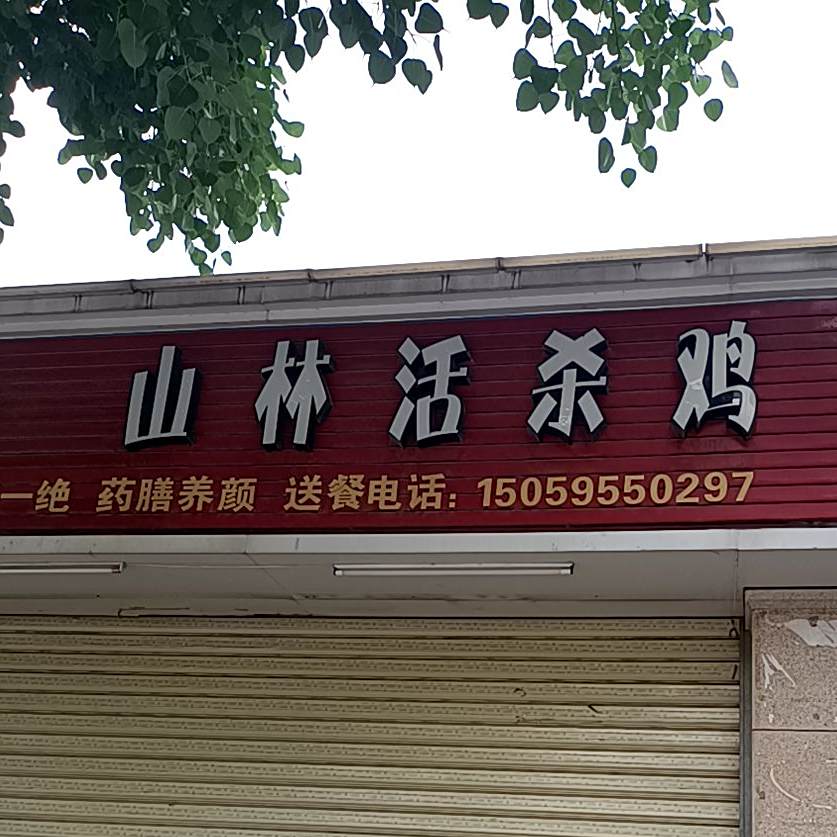 客家风味山林活沙鸡