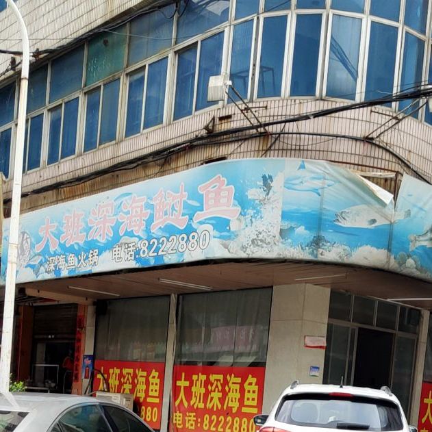 大般深海过鱼(揭阳东山店)