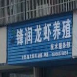 锋润龙虾养殖集成服务部
