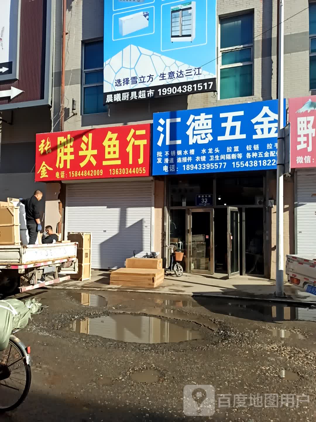 张金胖头鱼行