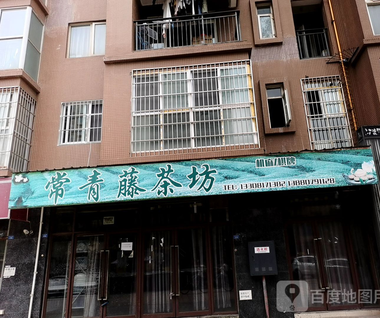 常春藤