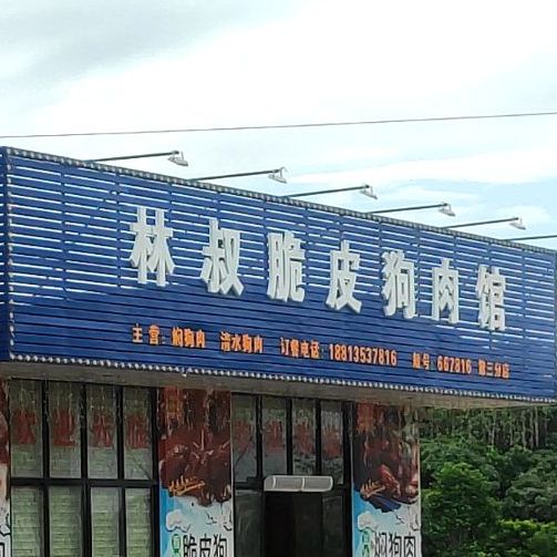 林叔脆皮狗肉馆