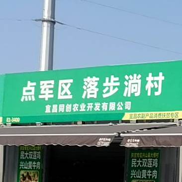 鑫重庆市