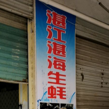 湛江湛海生蚝