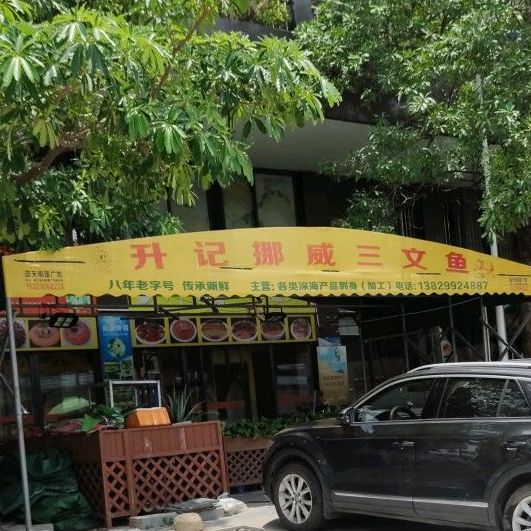 升记挪威三文鱼(大亚湾店)