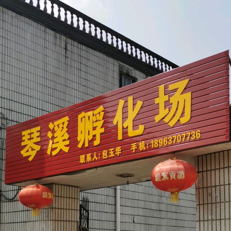 琴川酒家特色吐菜