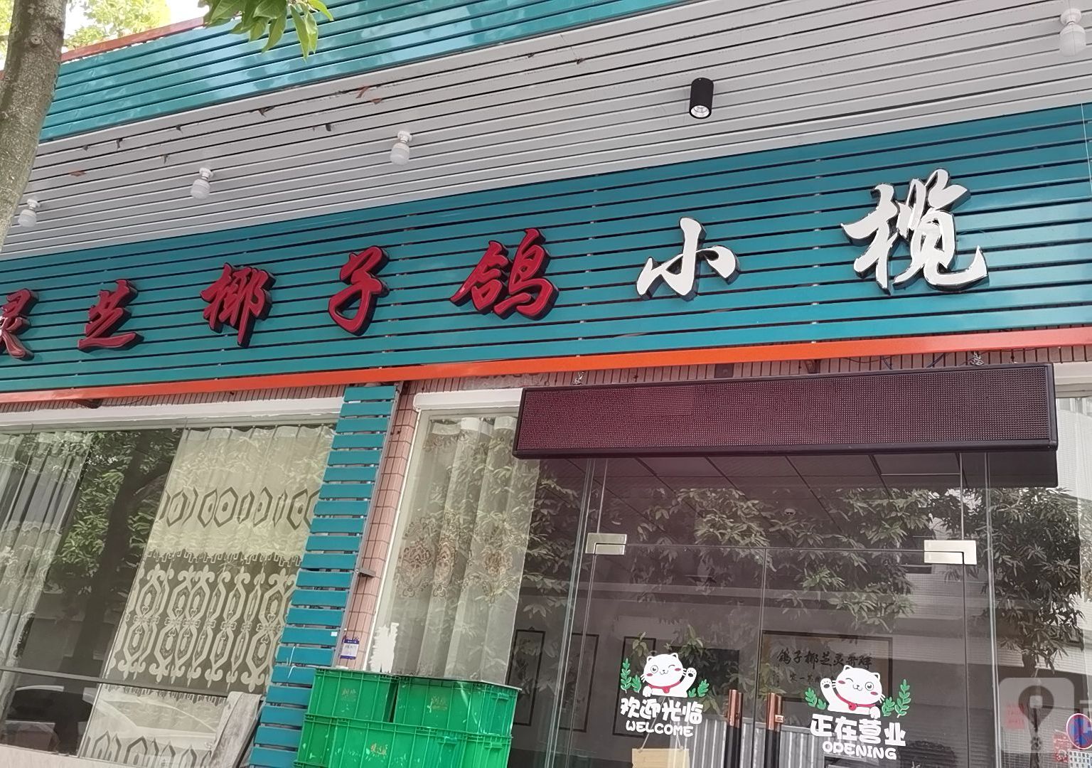 群哥灵芝椰子鸽(小榄店)