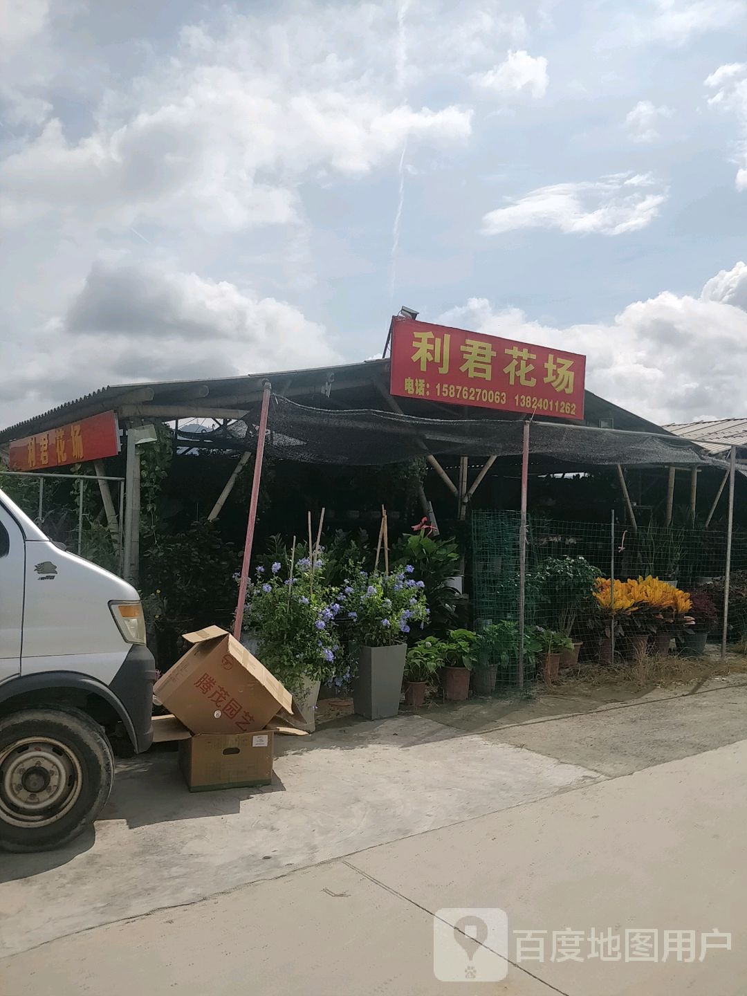 利君花场