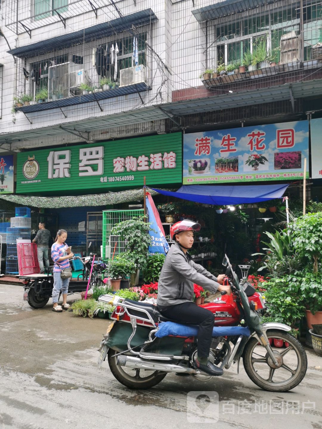 满生花园(富民花鸟大市场店)