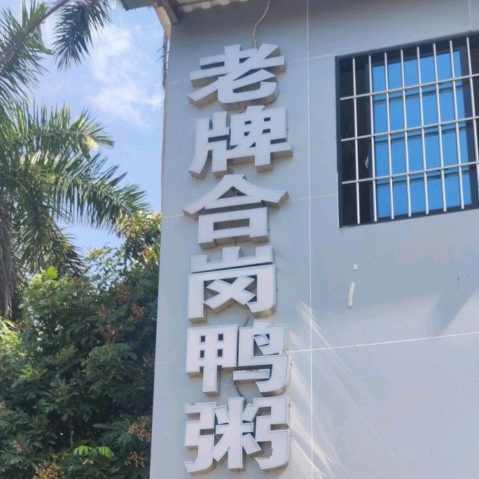 老牌合岗鸭粥