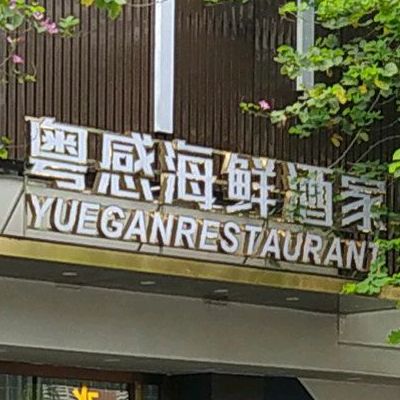 粤感海鲜酒家