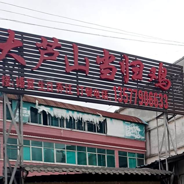 大芦山当归鸡(一分店)