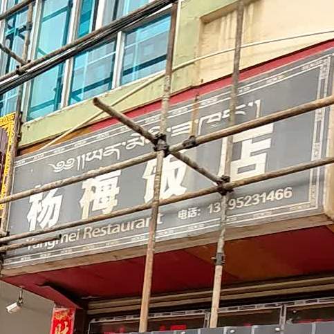 杨梅饭店