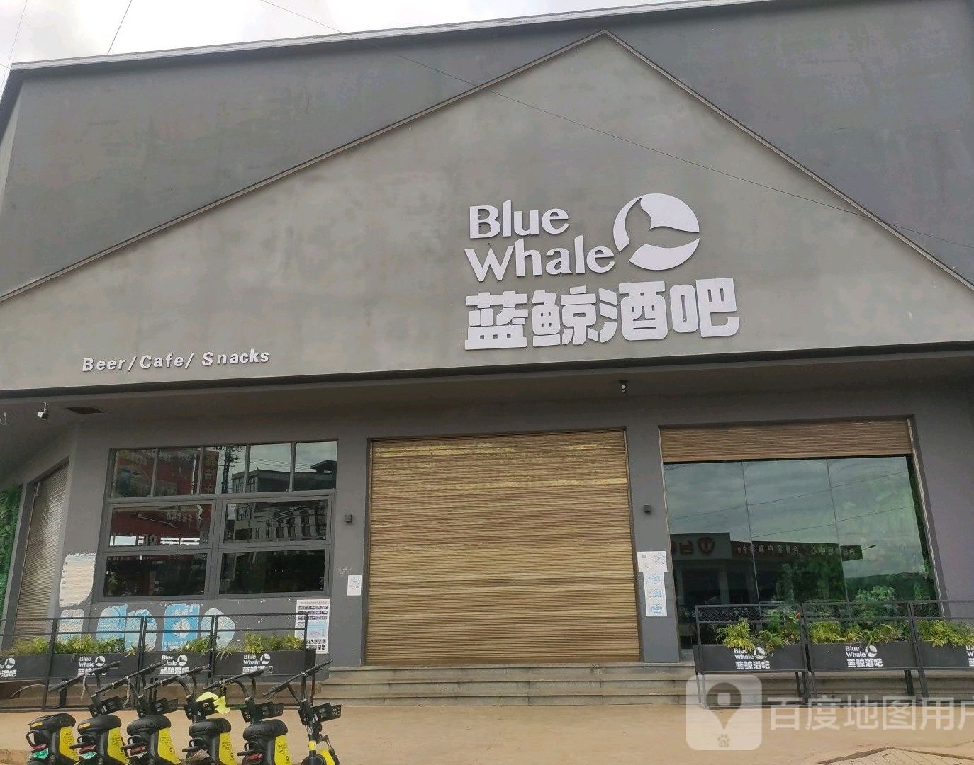 蓝鲸酒吧