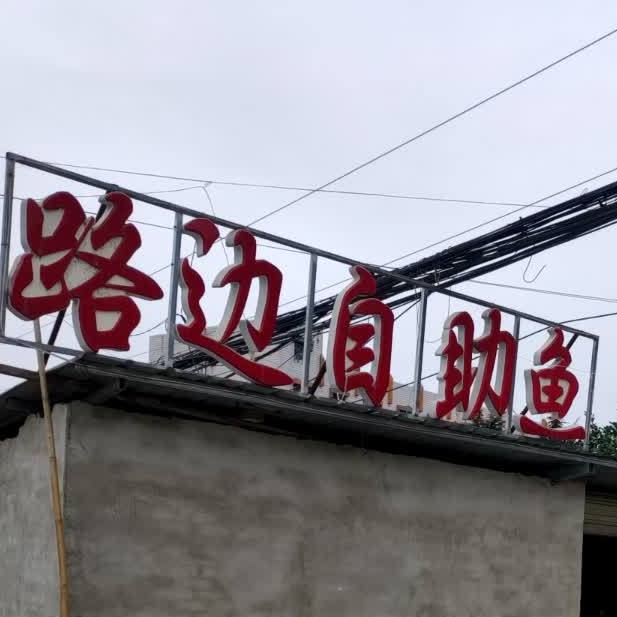 街边自助鱼