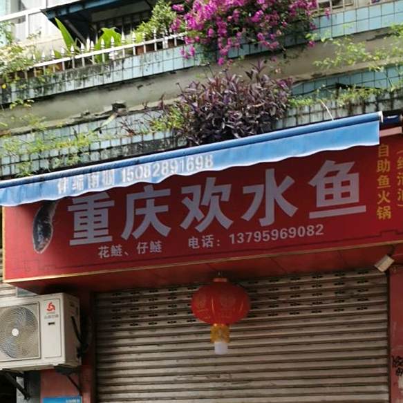 重庆欢水鱼自助鱼儿火锅