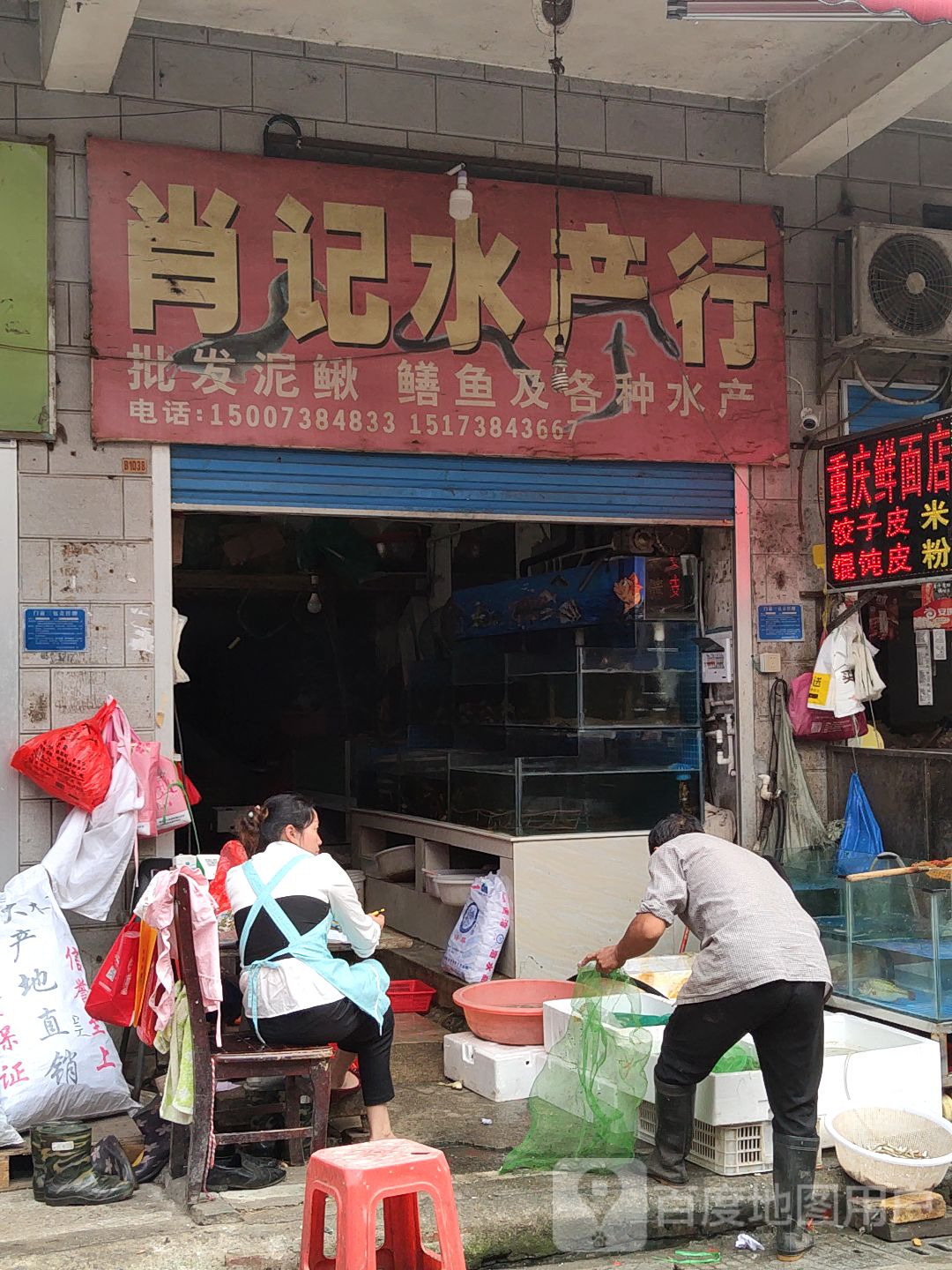 肖记水产行