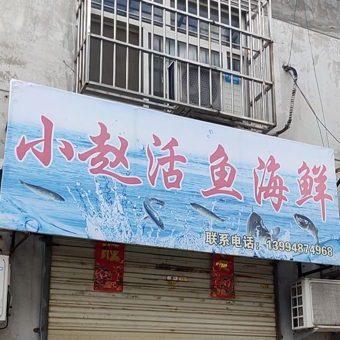 小赵活鱼海先