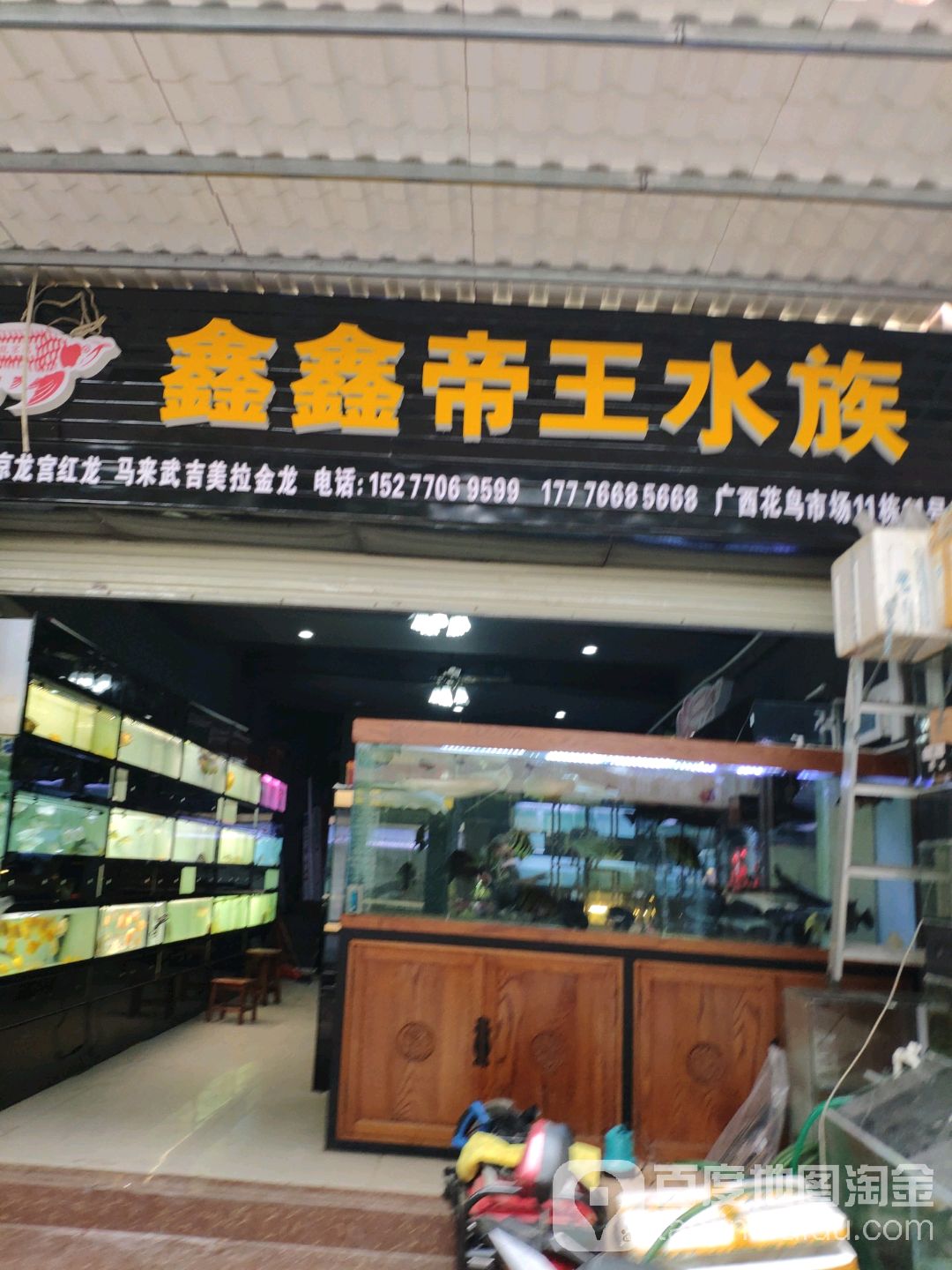 鑫鑫帝王水族