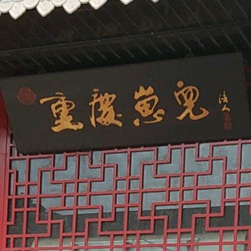重庆崽儿(余江店)