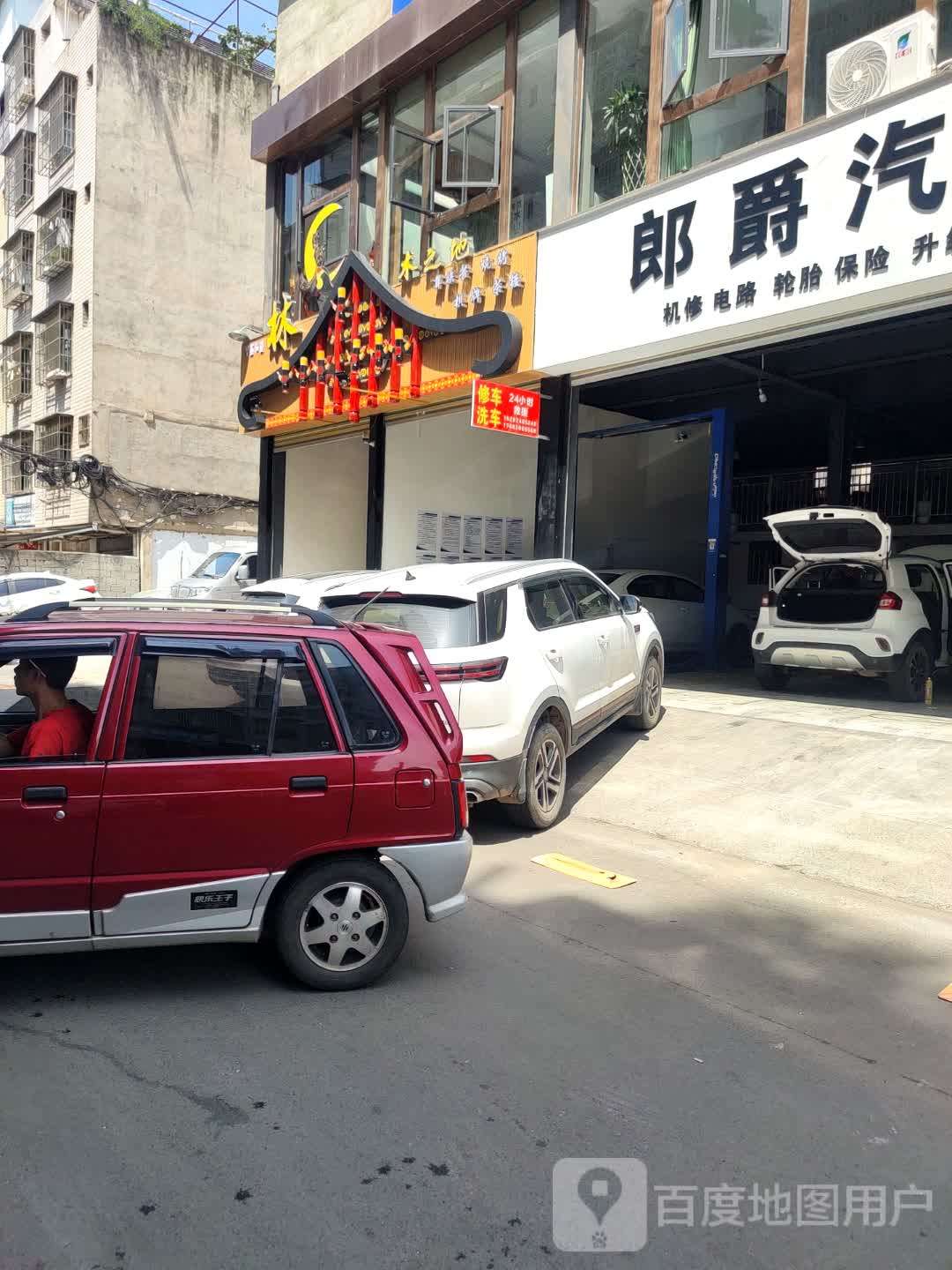 林木之地